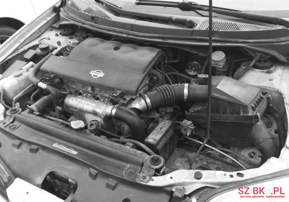 2002' Nissan Primera 2.2 D Acenta photo #1