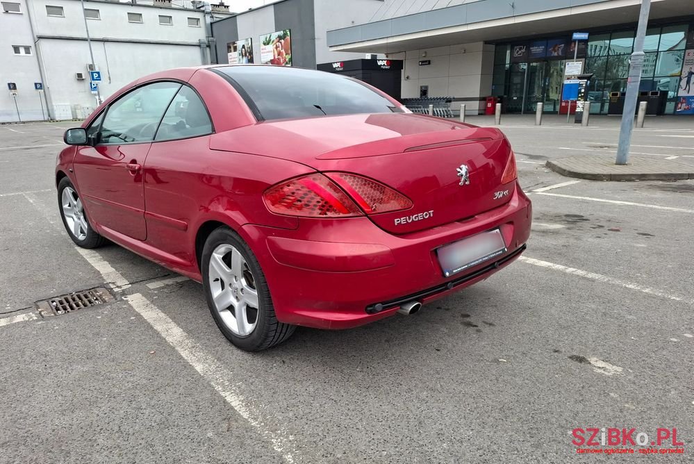 2004' Peugeot 307 photo #6