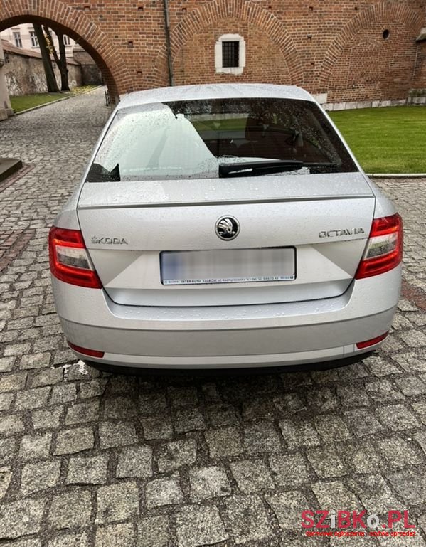 2019' Skoda Octavia photo #6