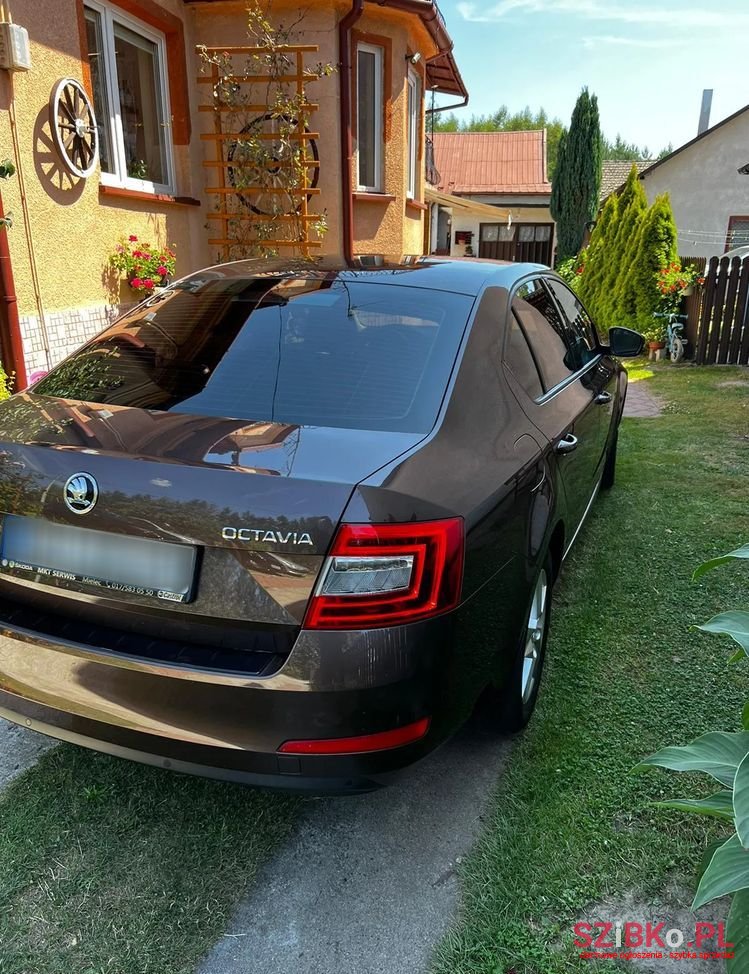 2016' Skoda Octavia photo #4