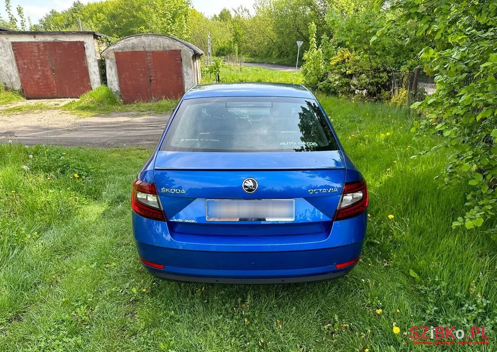 2019' Skoda Octavia photo #4
