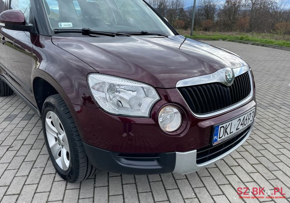 2010' Skoda Yeti photo #2