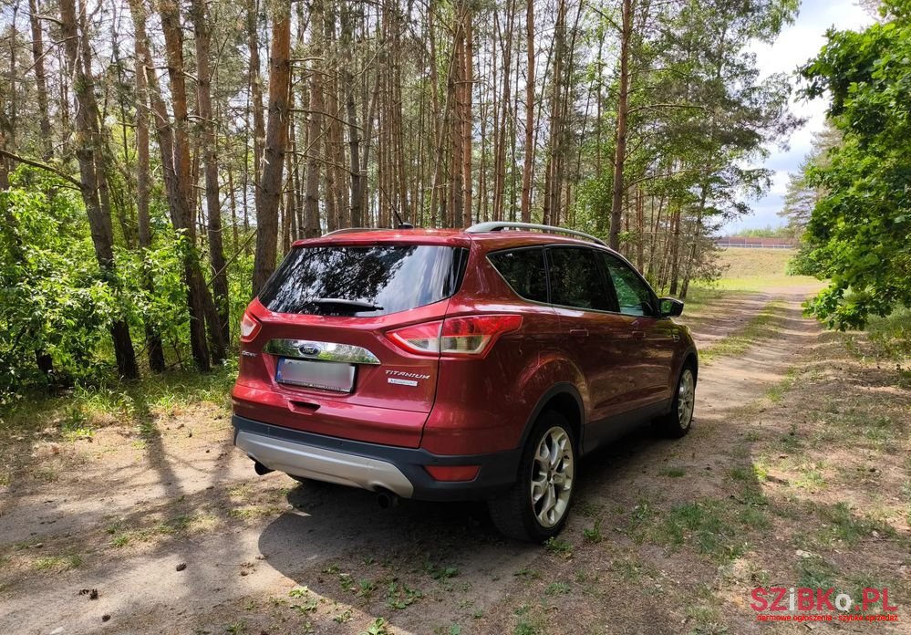 2015' Ford Escape photo #6