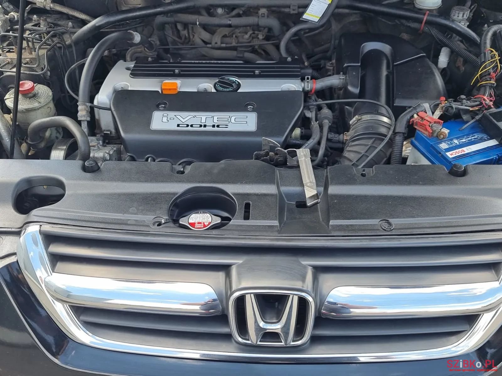 2004' Honda CR-V photo #6