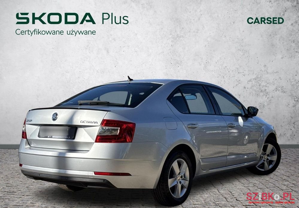 2019' Skoda Octavia photo #5