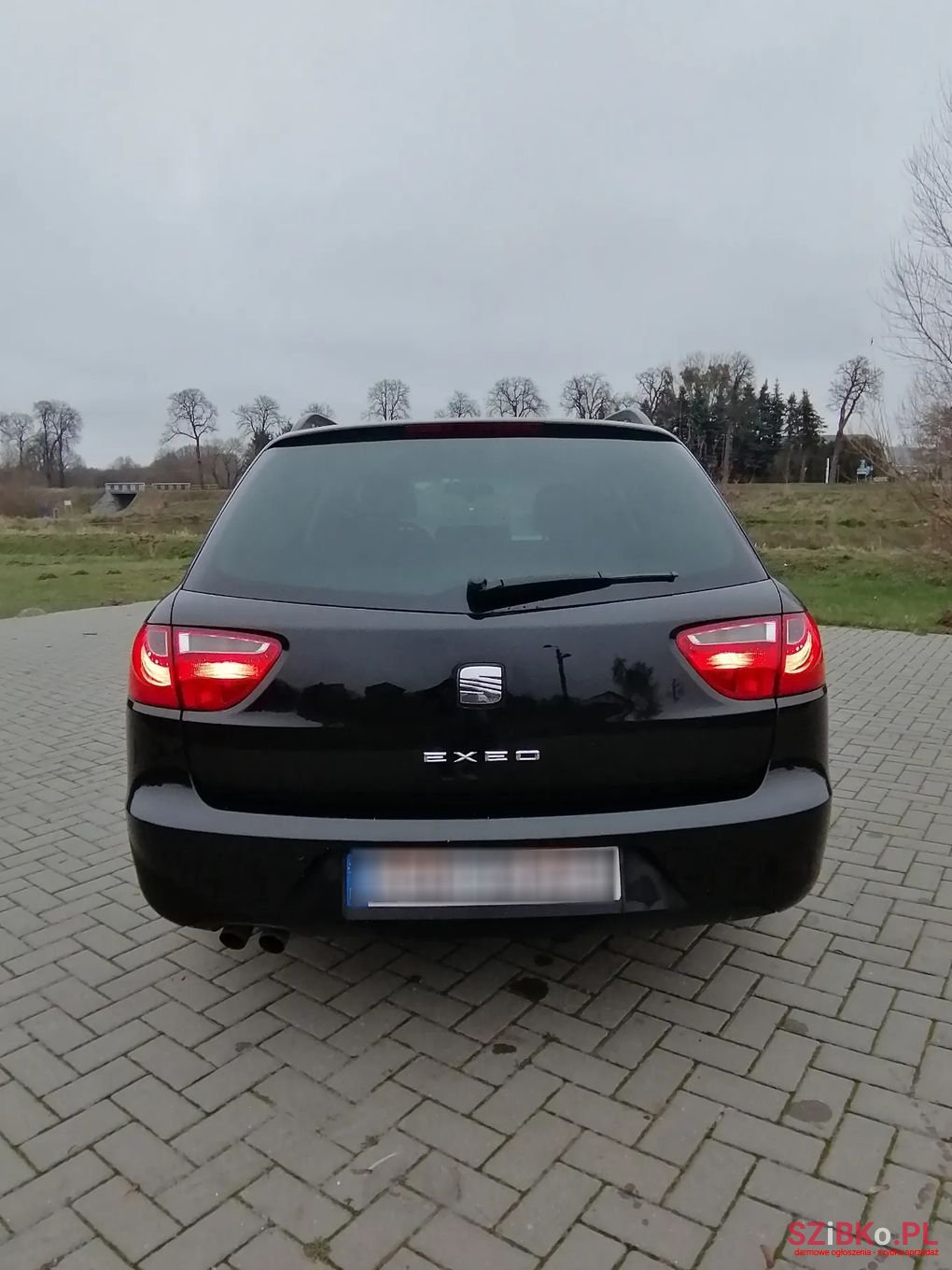 2009' SEAT Exeo photo #6