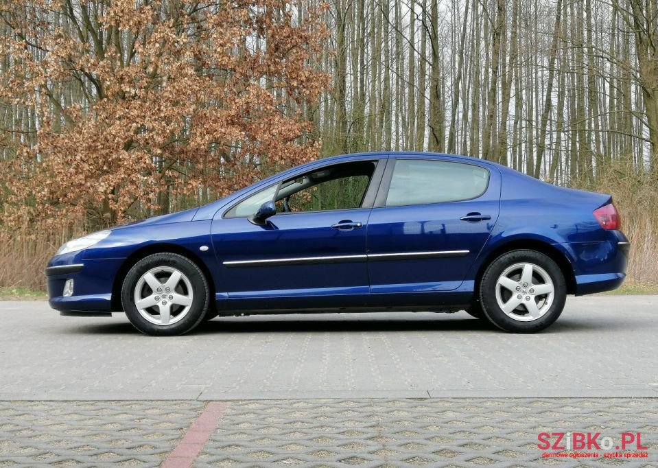 2004' Peugeot 407 photo #2