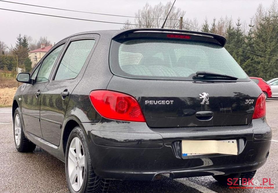 2005' Peugeot 307 Sport photo #4