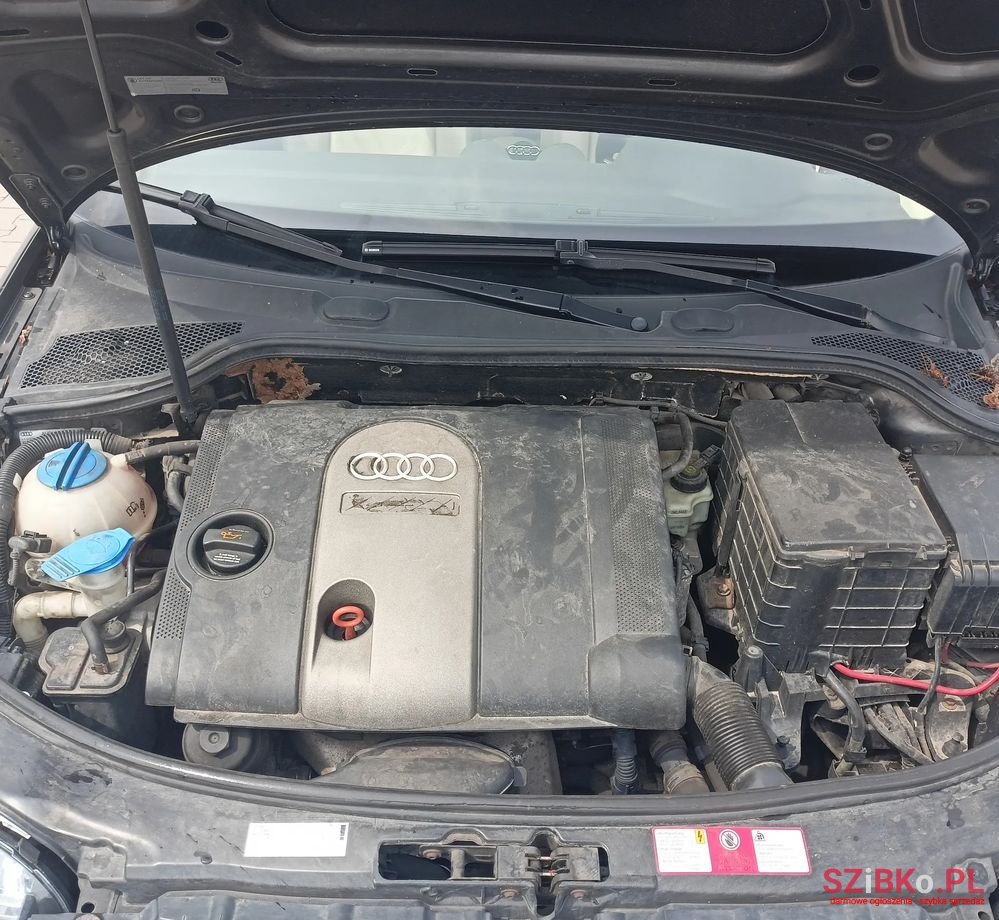 2004' Audi A3 1.6 Fsi Ambition photo #6