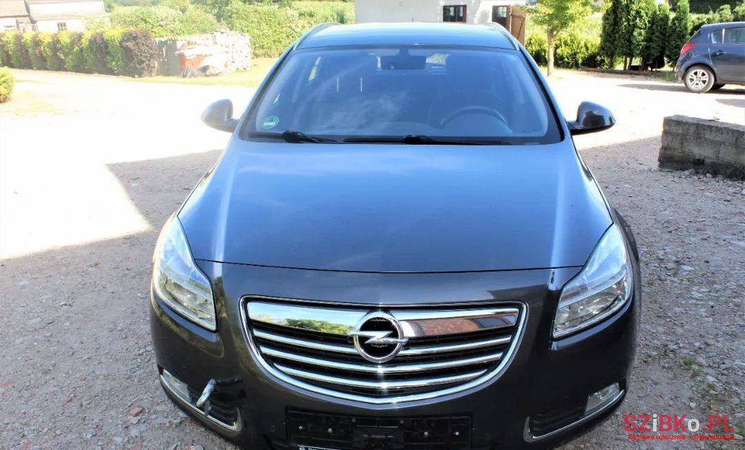 2009' Opel Insignia photo #2