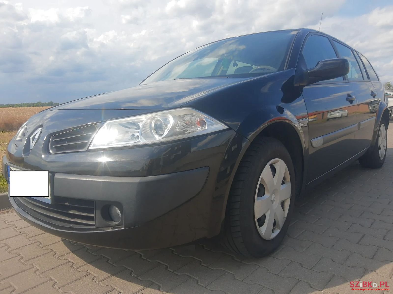2007' Renault Megane photo #6