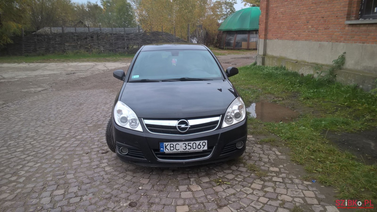 2006' Opel Signum photo #4