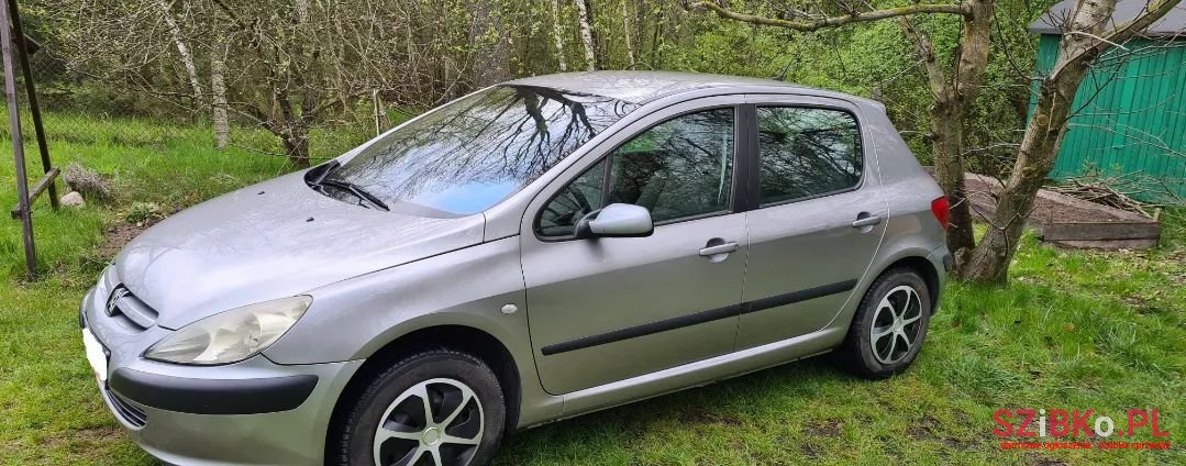 2003' Peugeot 307 photo #3