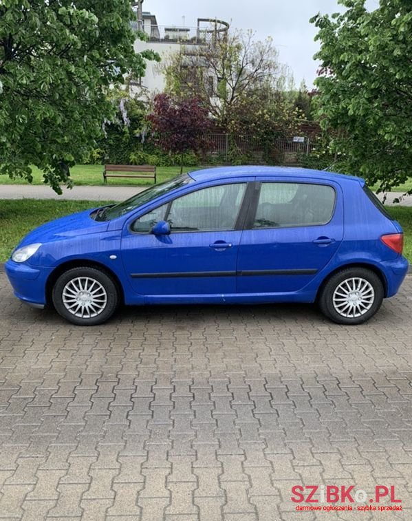 2002' Peugeot 307 1.4 Xr photo #2