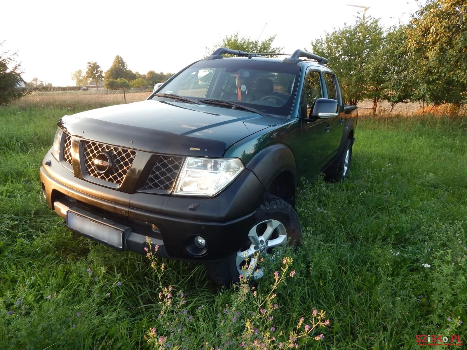 2007' Nissan Navara photo #6