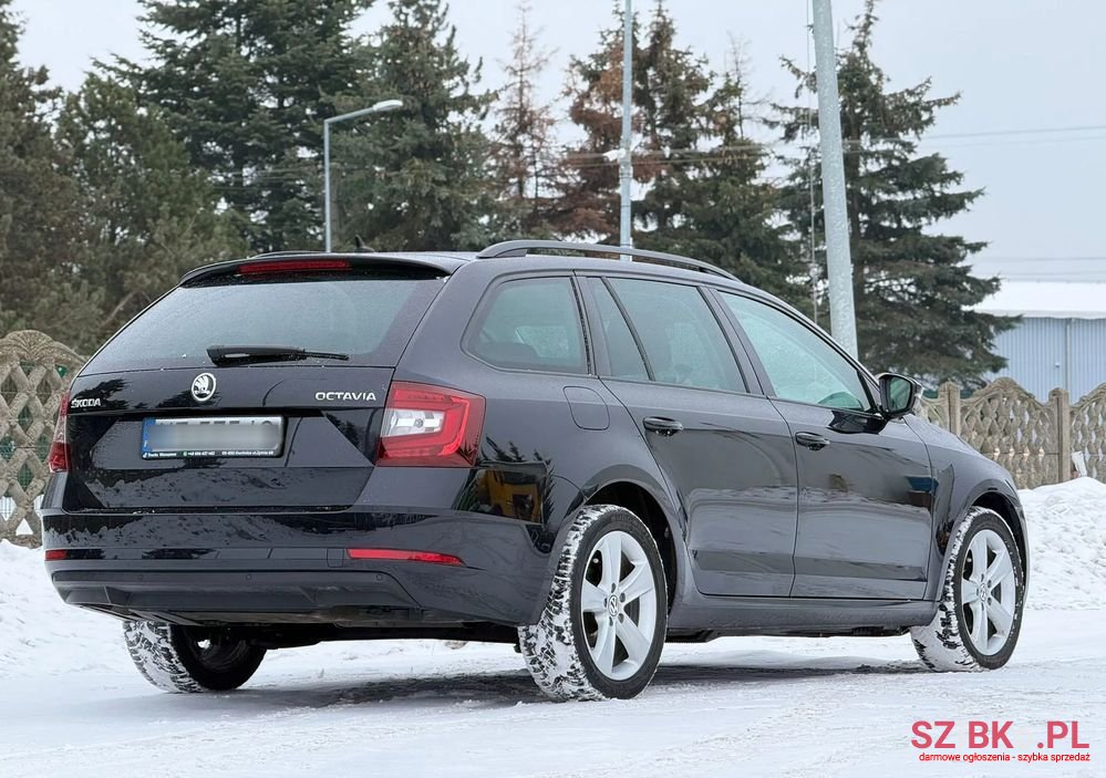 2019' Skoda Octavia photo #5