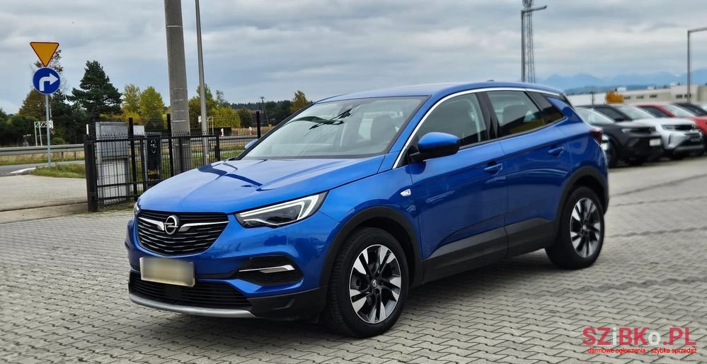 2019' Opel Grandland X photo #2