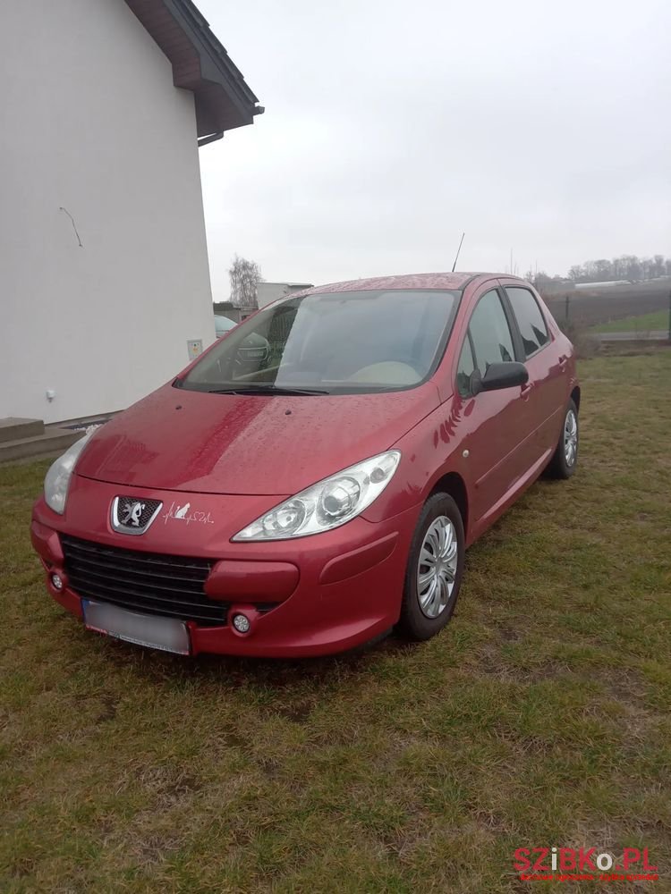 2006' Peugeot 307 110 Sportline photo #5