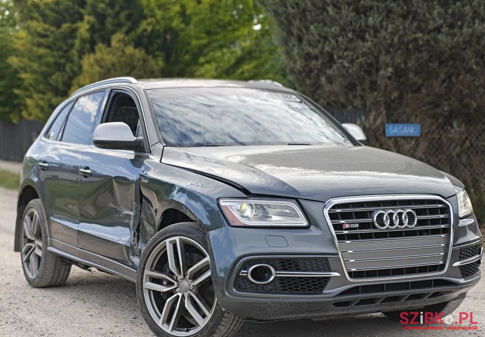 2015' Audi SQ5 photo #5
