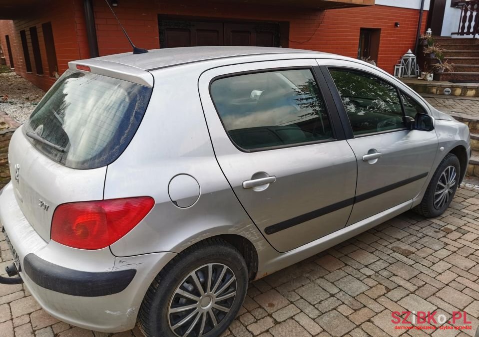 2002' Peugeot 307 photo #2