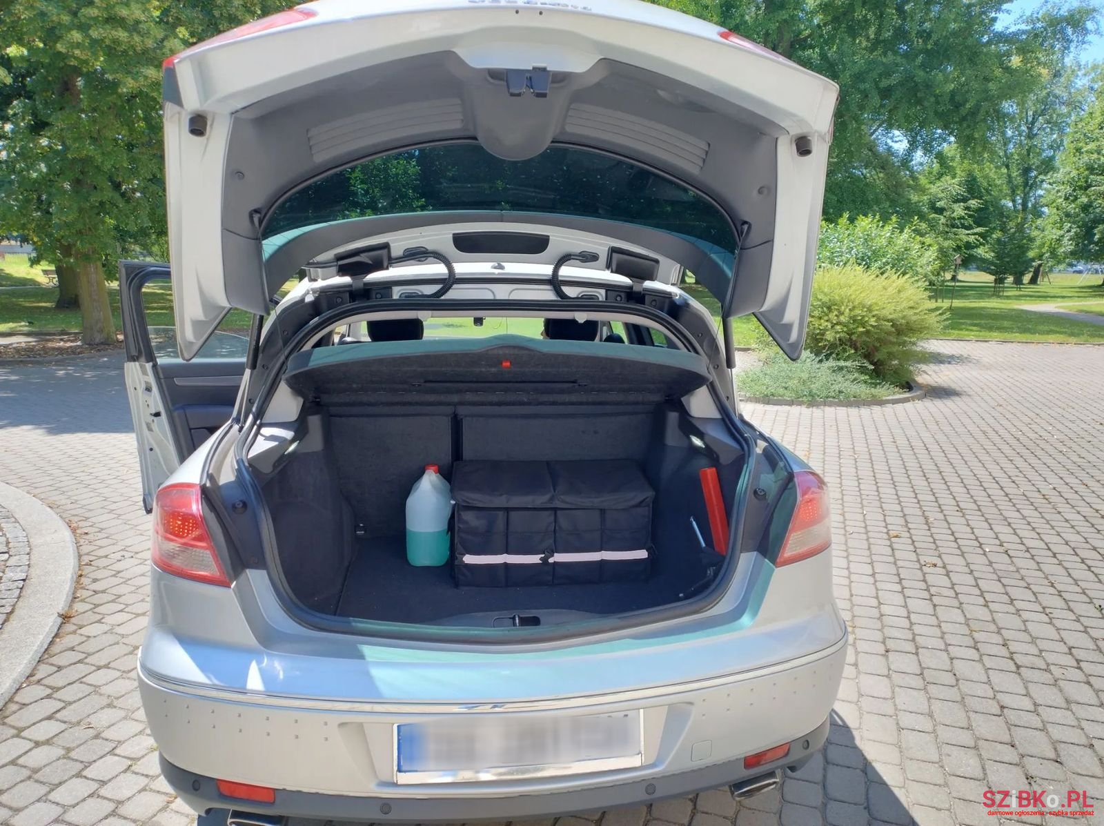 2008' Renault Vel Satis photo #3