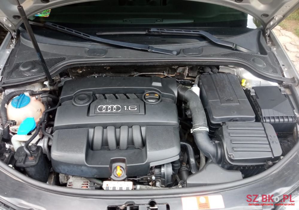 2007' Audi A3 photo #5