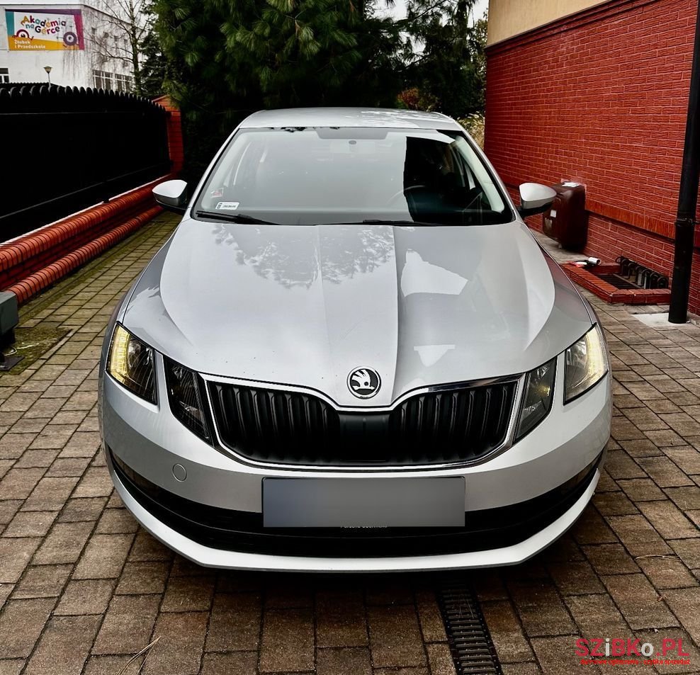 2019' Skoda Octavia photo #4