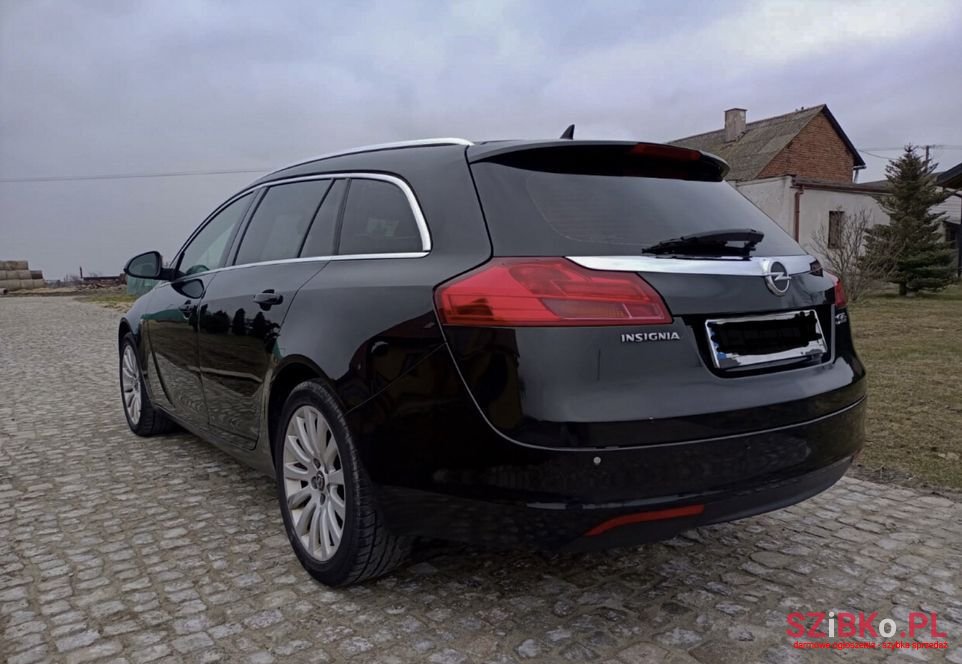 2010' Opel Insignia photo #2