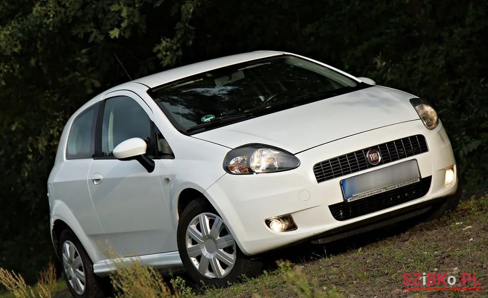 2009' Fiat Grande Punto 1.4 8V Active photo #4