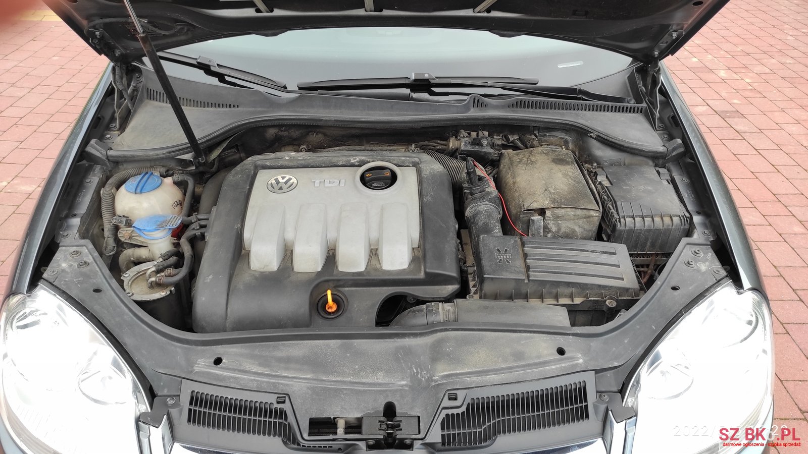 2008' Volkswagen Jetta photo #7