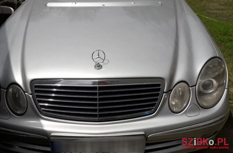 2002' Mercedes-Benz E-Class photo #1