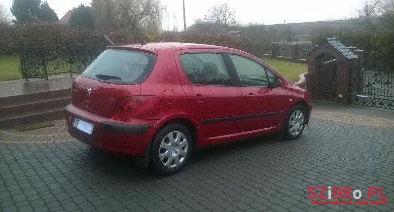 2003' Peugeot 307 photo #1