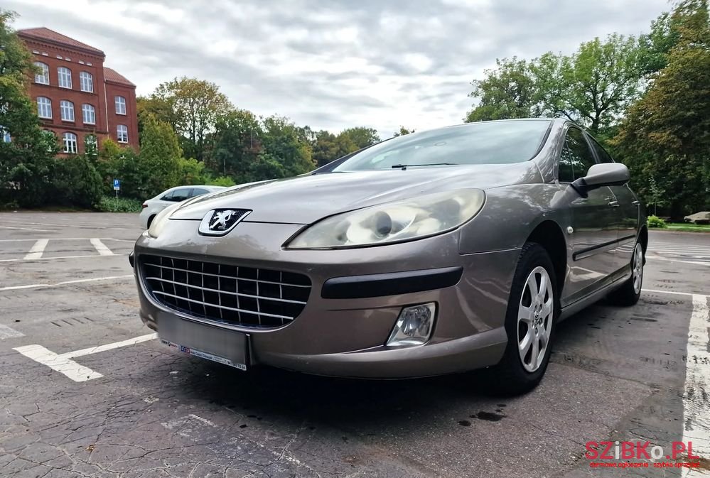 2006' Peugeot 407 photo #2