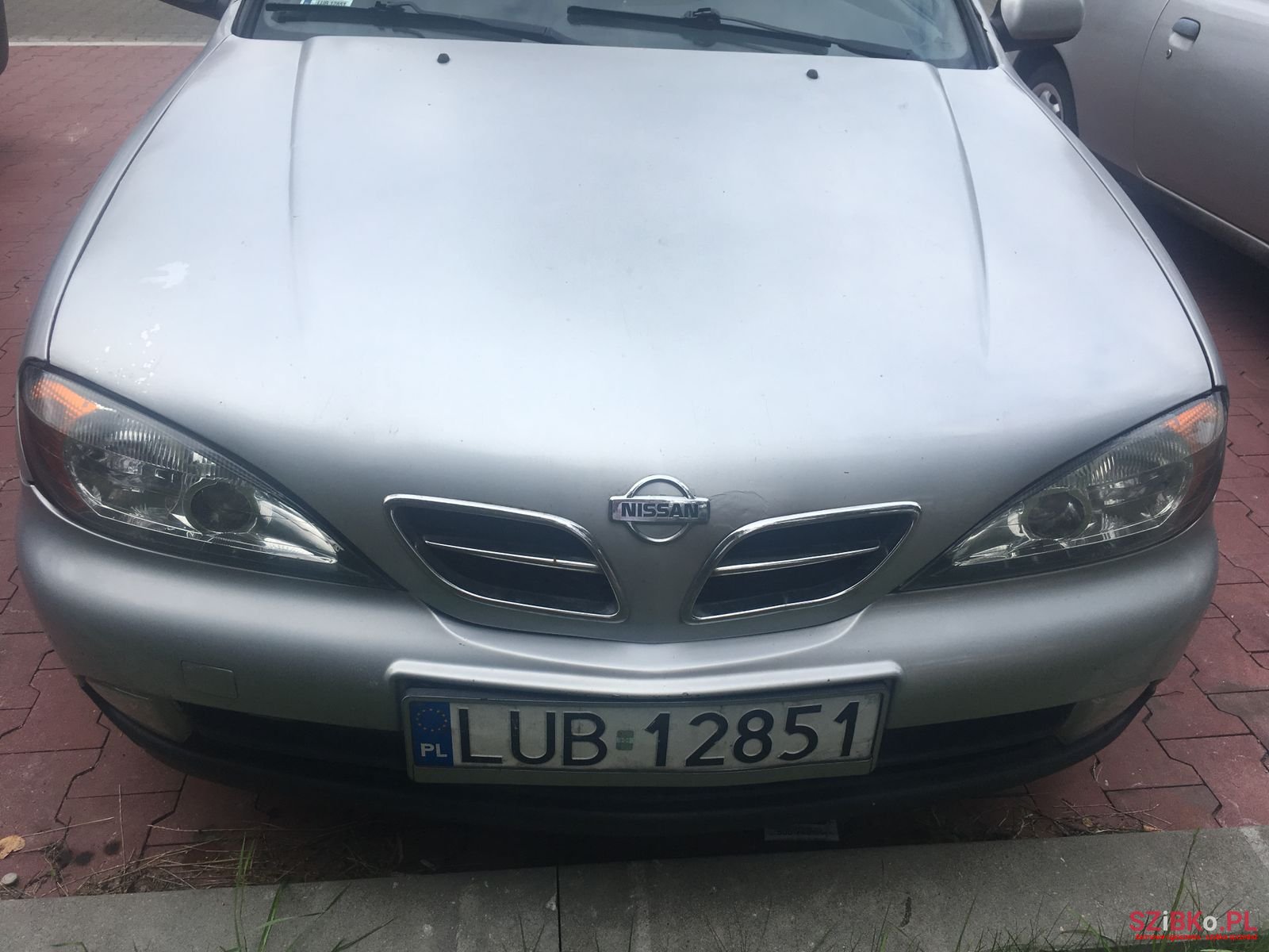 2001' Nissan Primera photo #7