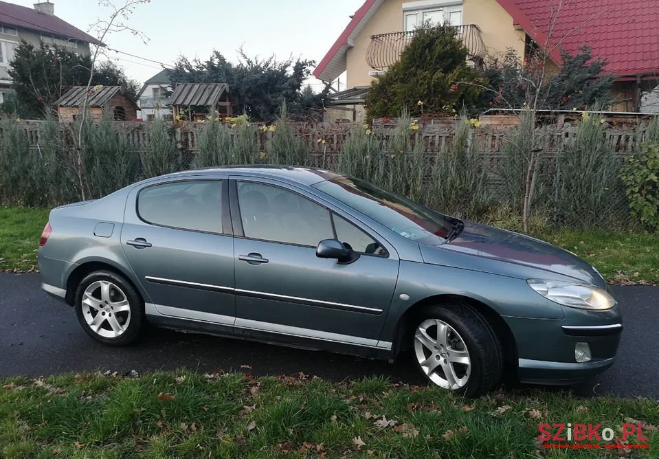 2004' Peugeot 407 photo #5