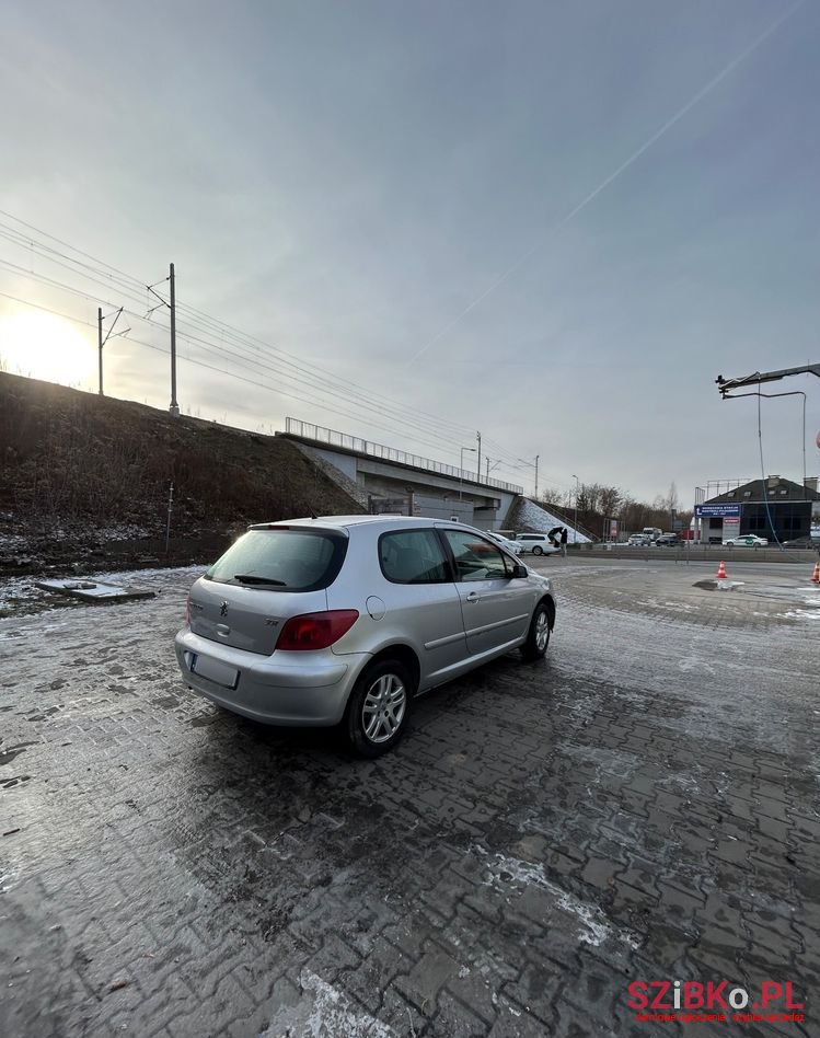 2004' Peugeot 307 110 Sportline photo #5
