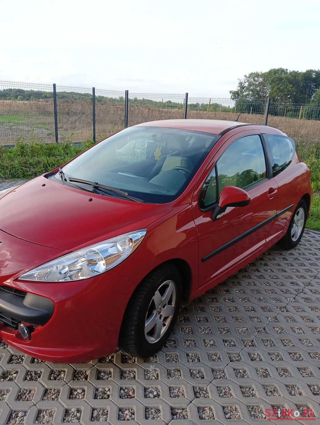 2008' Peugeot 207 photo #1