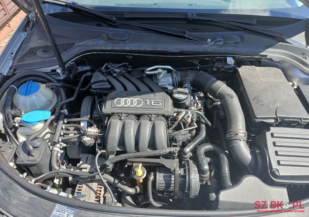2003' Audi A3 1.6 Ambiente photo #5