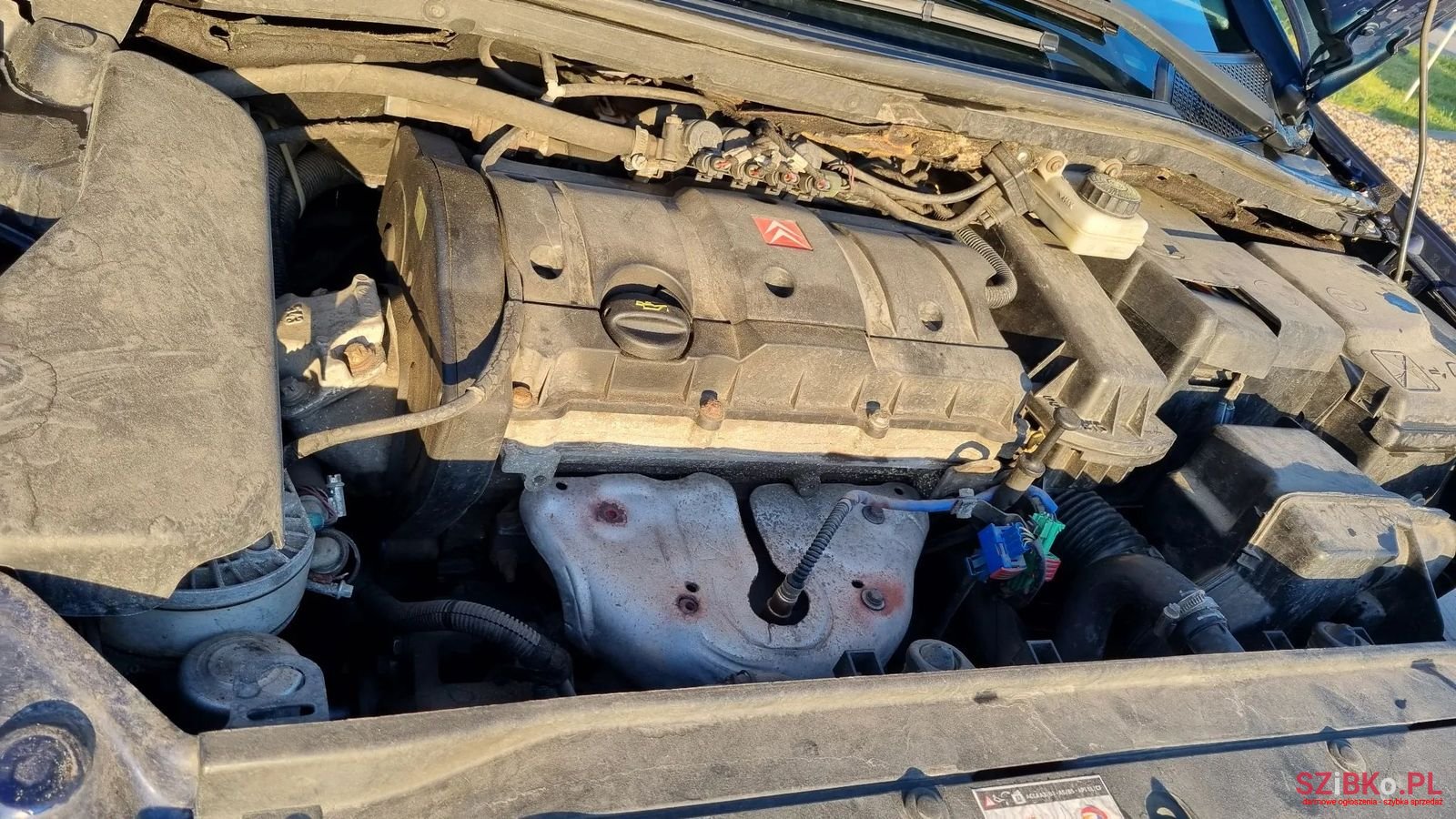 2006' Citroen C4 photo #4