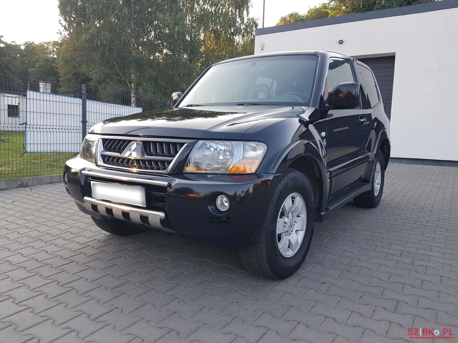 2004' Mitsubishi Pajero photo #2