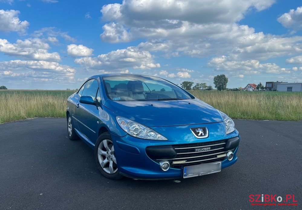 2006' Peugeot 307 photo #6