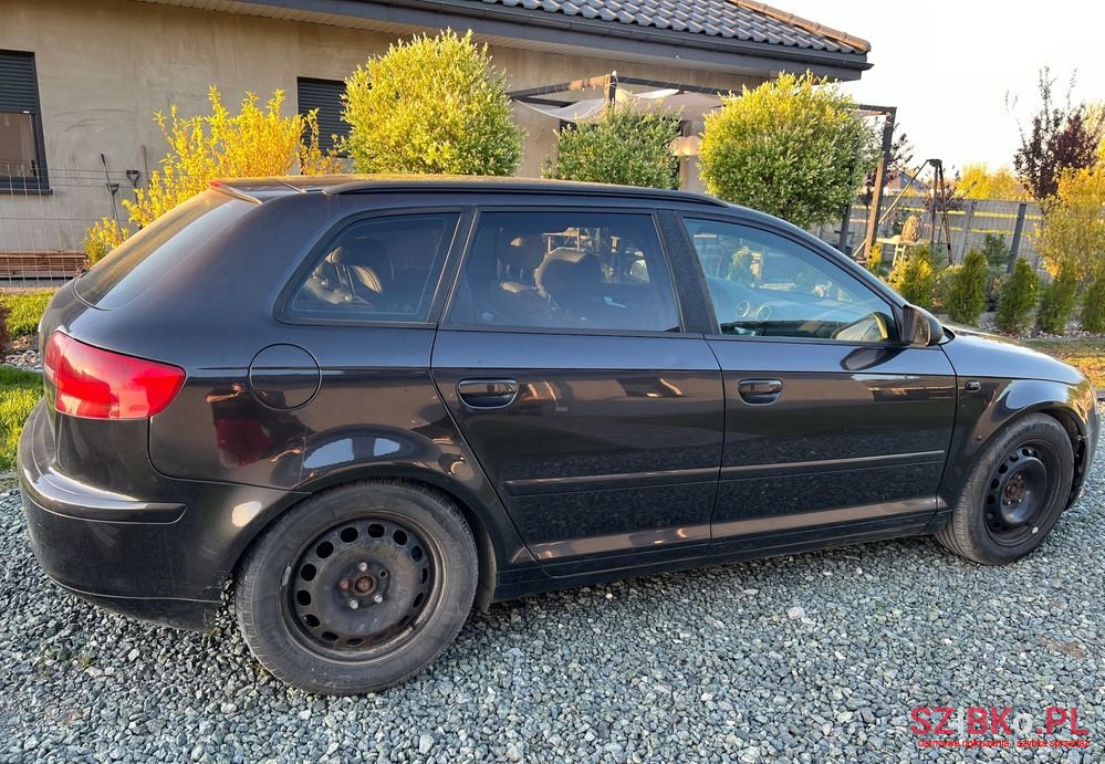 2005' Audi A3 2.0T Fsi Quattro Ambition photo #4