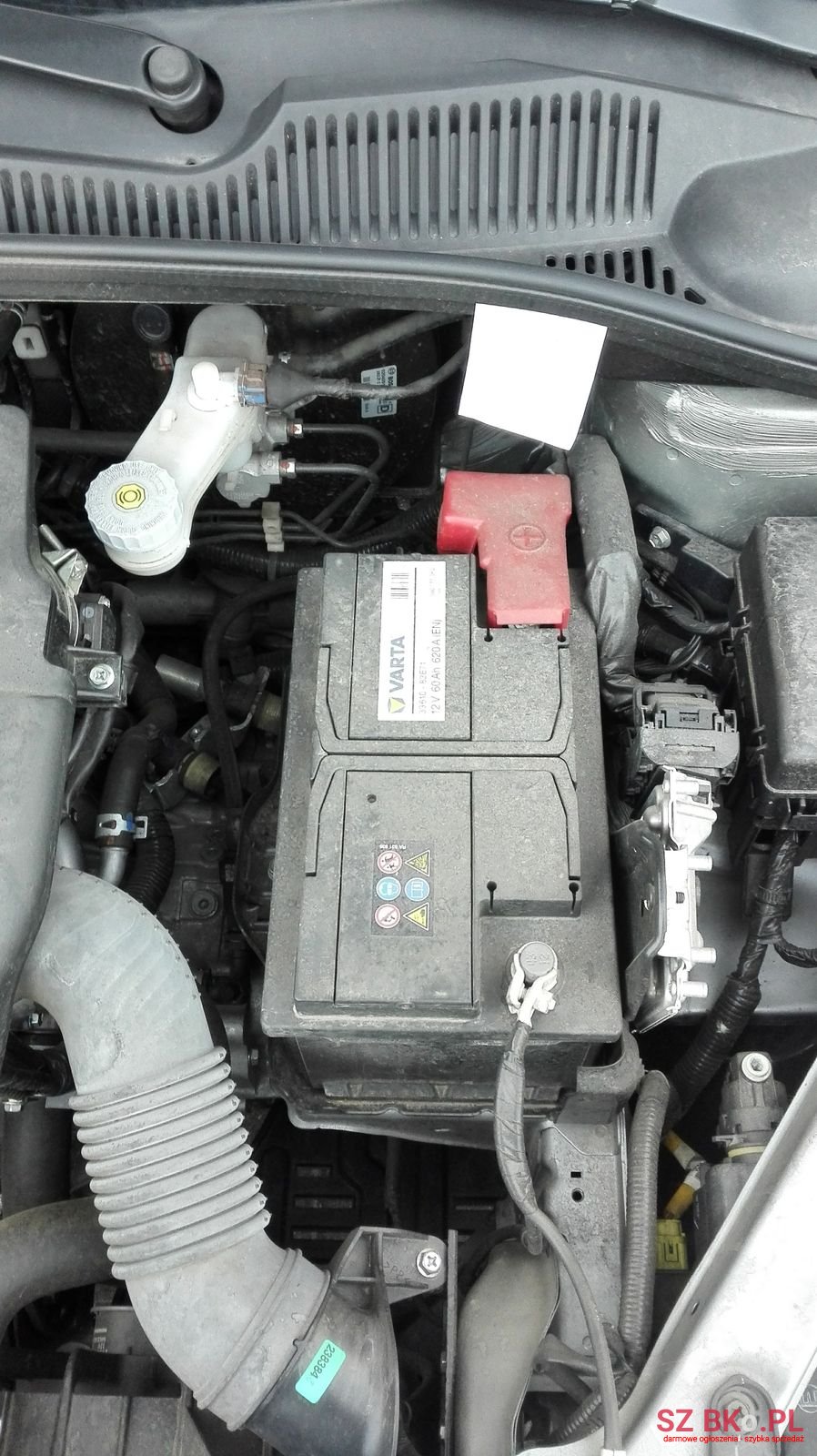 2013' Suzuki photo #5