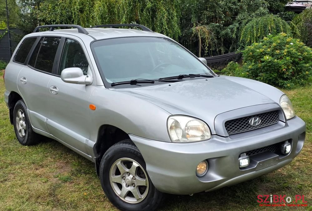 2003' Hyundai Santa Fe photo #1