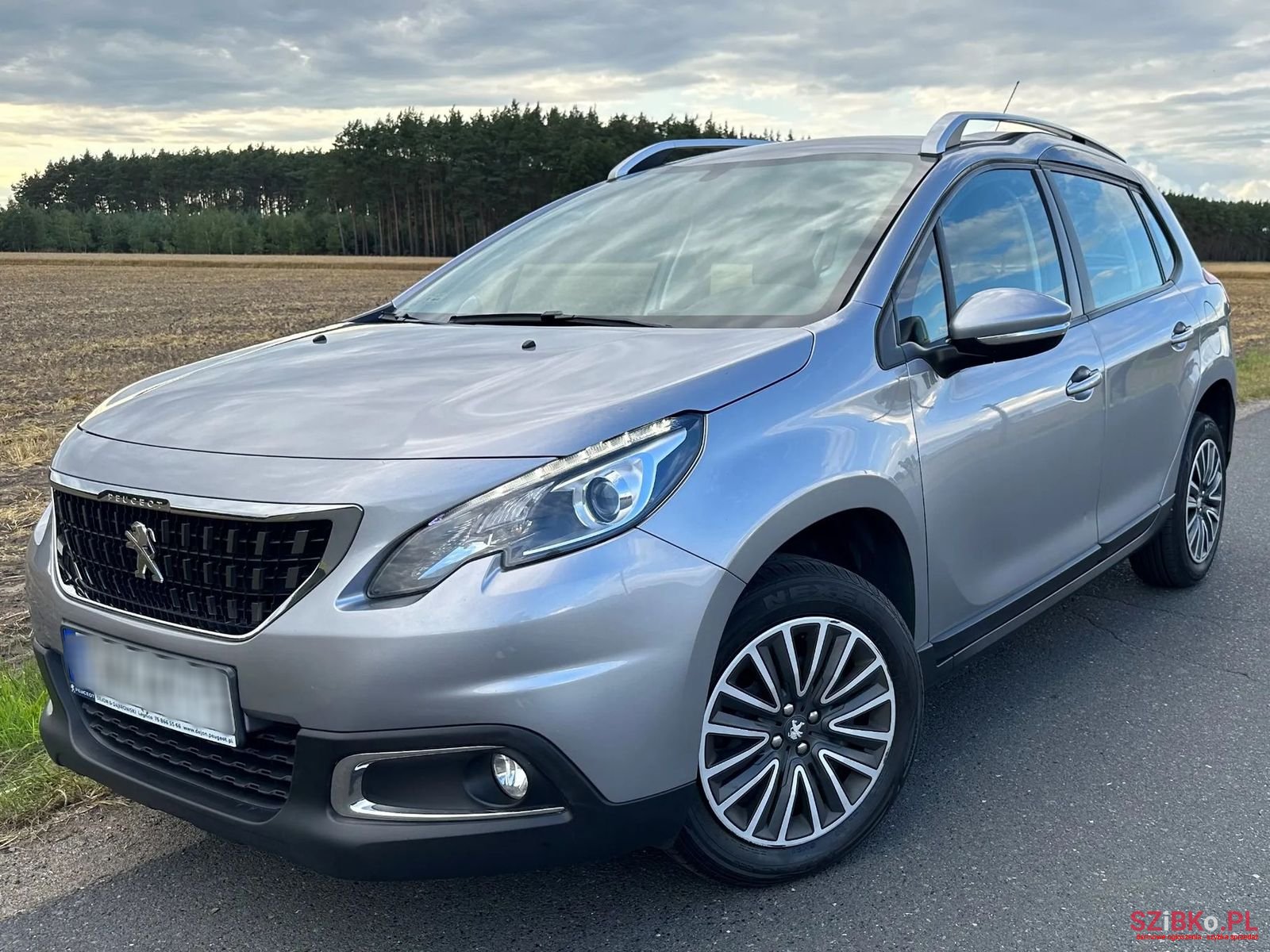 2017' Peugeot 2008 photo #1