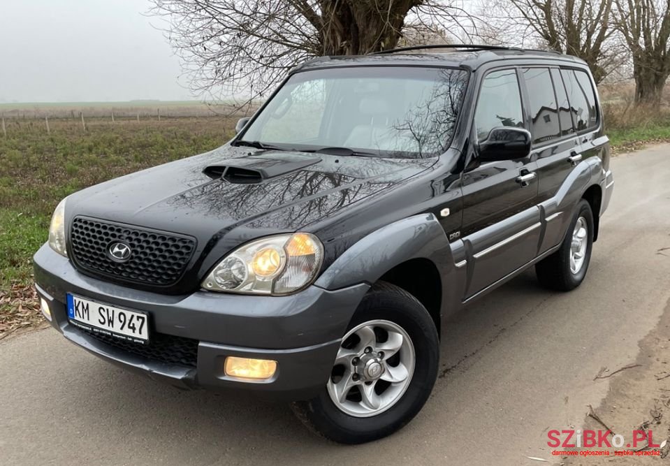 2006' Hyundai Terracan photo #3