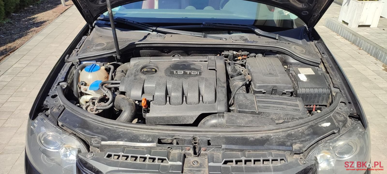 2007' Audi A3 photo #6