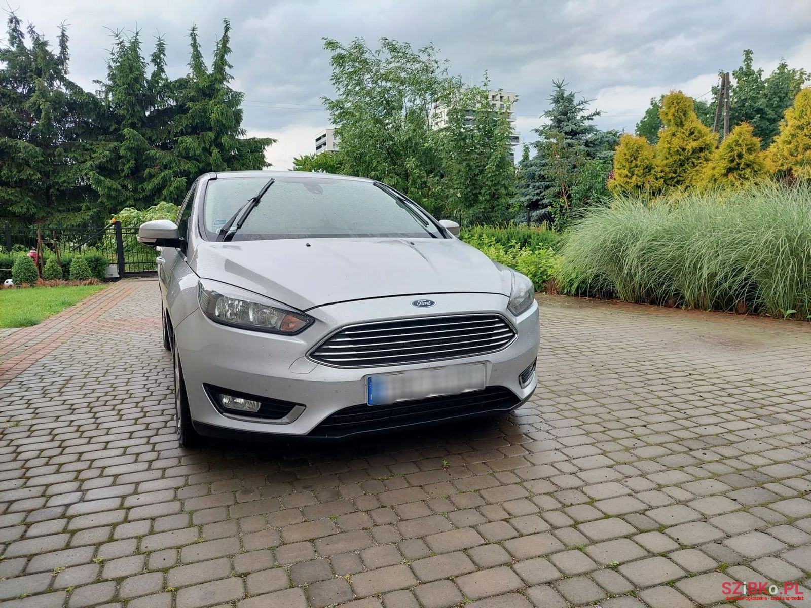 2015' Ford Focus photo #4