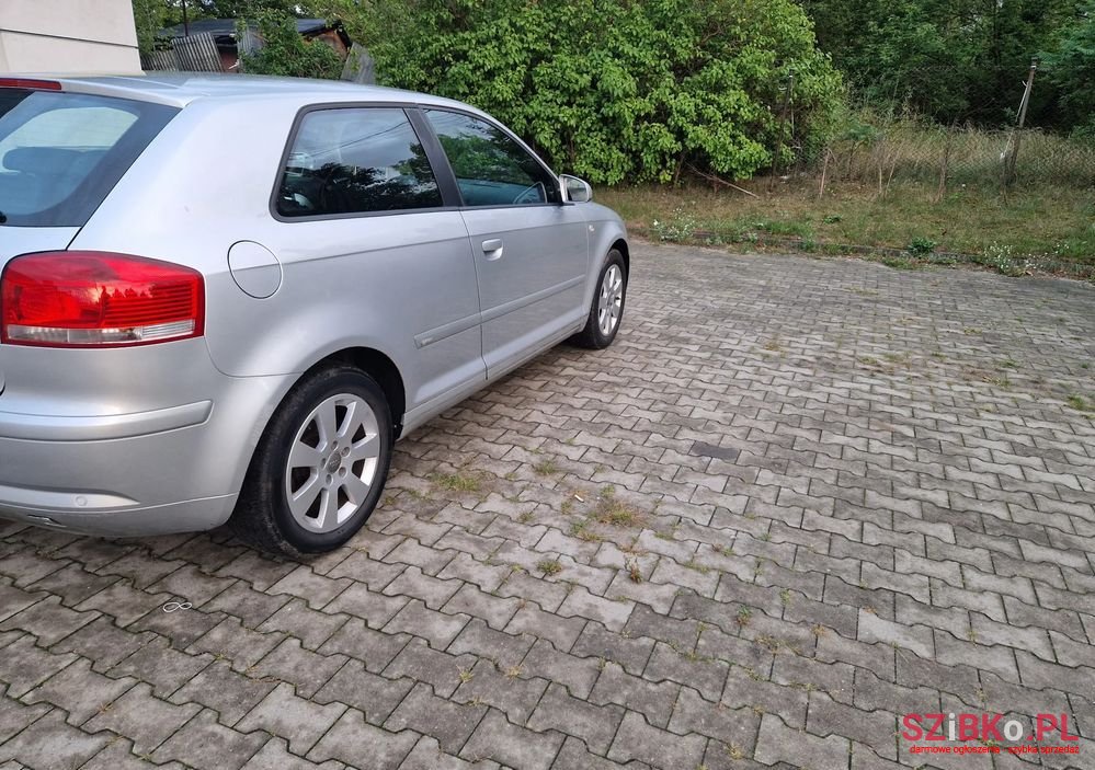 2005' Audi A3 1.6 Ambition photo #3
