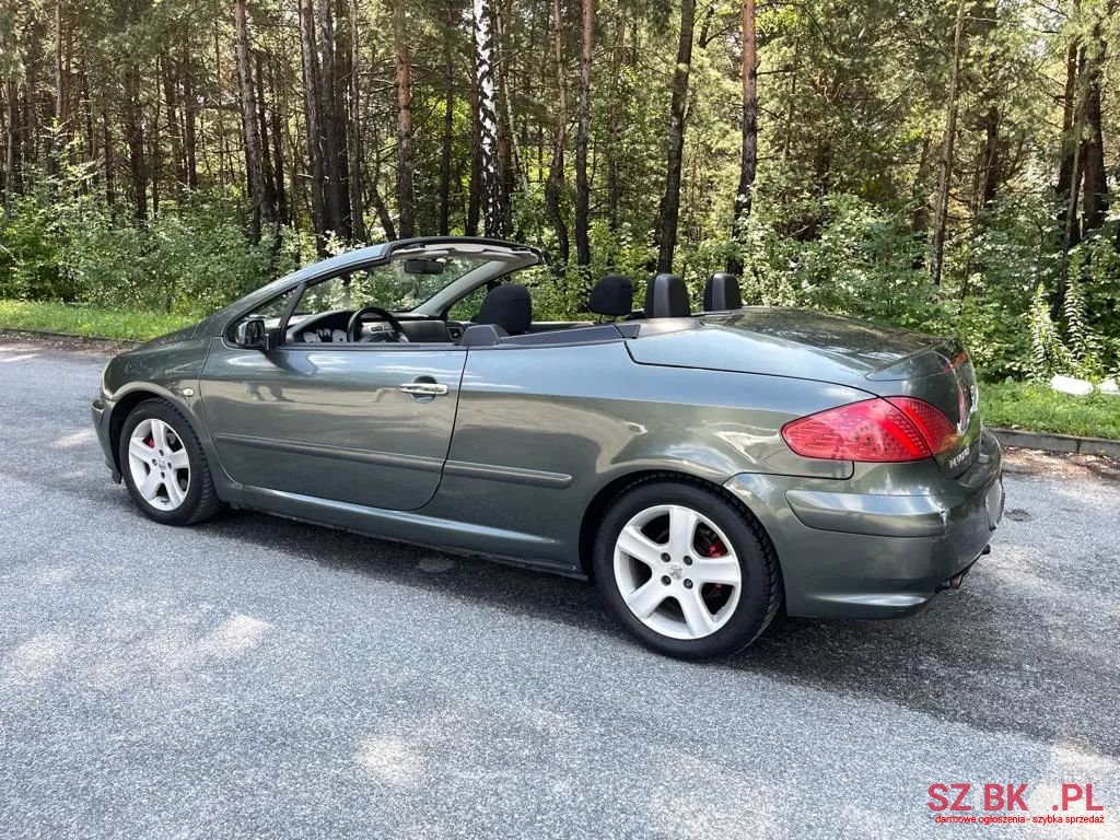 2004' Peugeot 307 photo #5